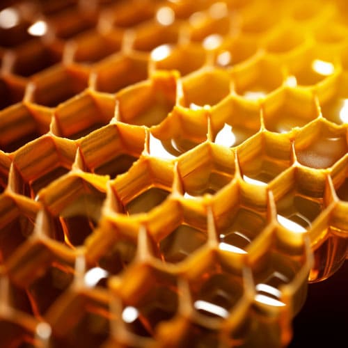 arquetipo abelha v3 1 O Arquétipo da Abelha: Transformação e Crescimento Pessoal